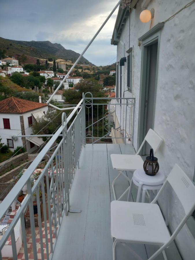 Iolis Loft Hydra *